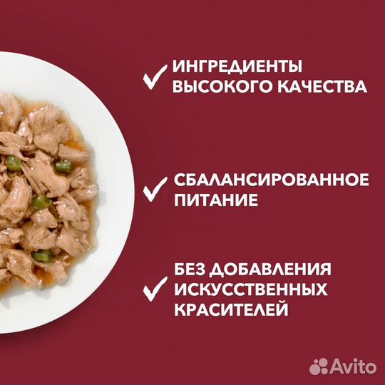 Purina ONE активная для взрослых собак мелких поро