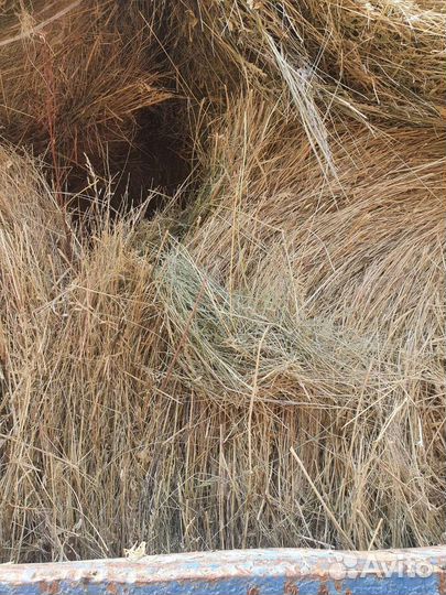 Сено степное зеленое в рулонах