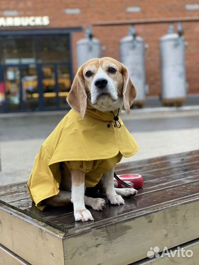 Дождевик для собаки Hunting Pony