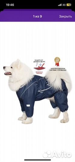 Комбинезон для средней собаки