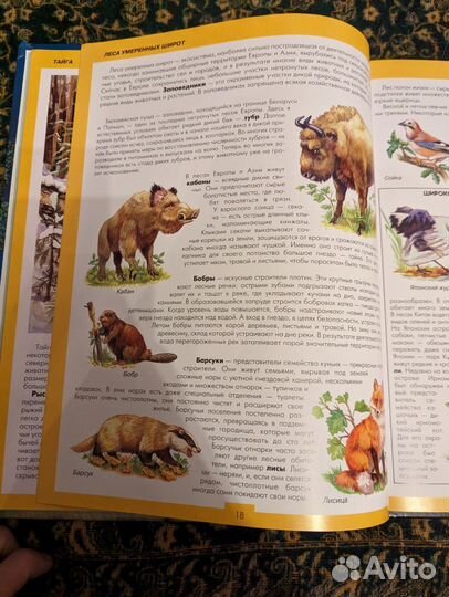 Атлас животных