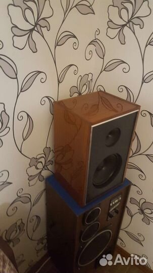 Колонки 10мас 1м ранняя версия на магнитах альнико