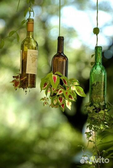 Пустые бутылки из под алкоголя