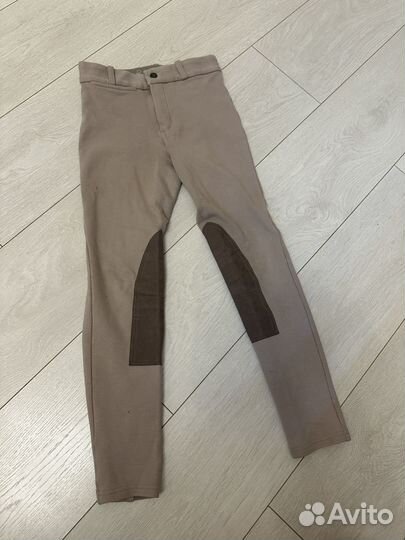 Одежда для конного спорта