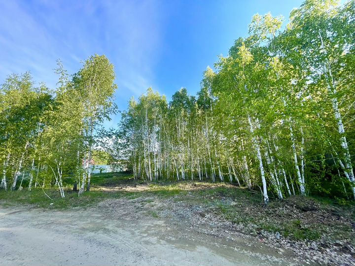 Участок 16 сот. (ИЖС)