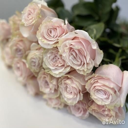 Букет 15 роз 25 роз 51 роза 101 роза цветы оптом