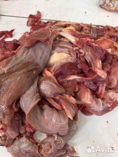 Говяжьи обрези для собак