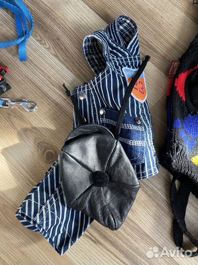 Одежда для маленьких пород собак