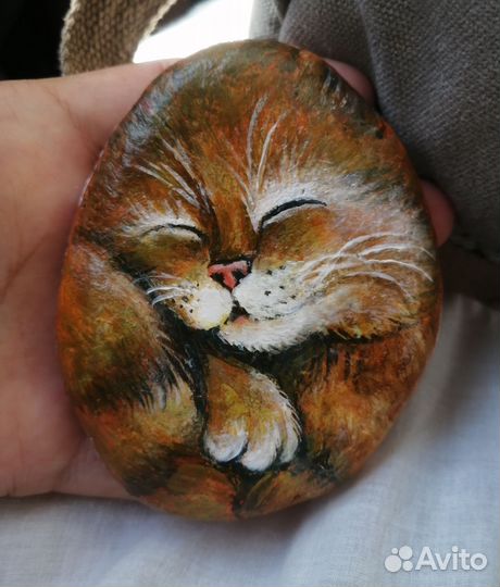 Котик на камешке