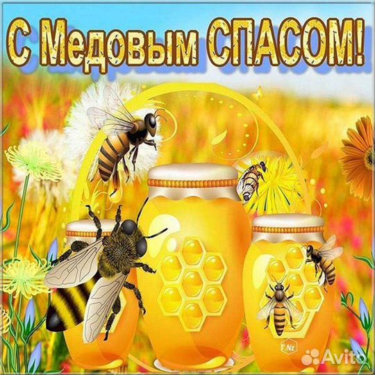 Свежий мёд с личной пасеки