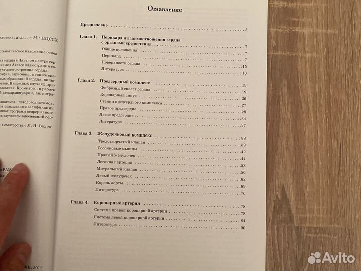 Анатомия сердца человека. Бокерия