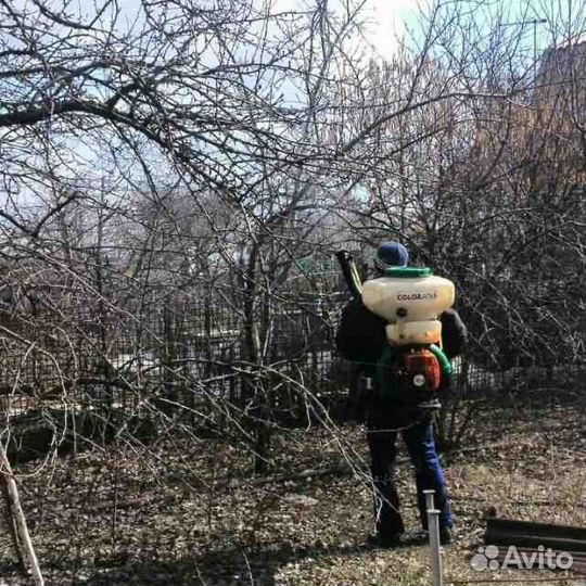 Вспашка мотоблоком,опрыскивание деревьев,спил