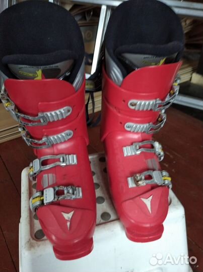 Горнолыжные ботинки