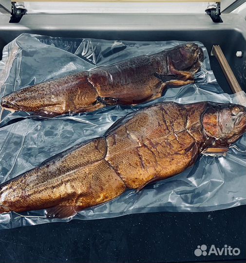 Форель горячего копчения