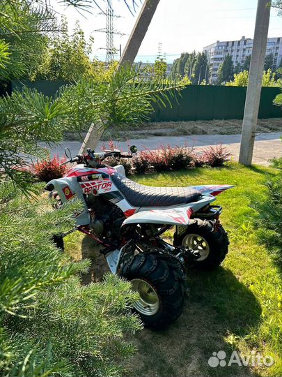 Квадроцикл yamaha YFM350 (raptor 350)