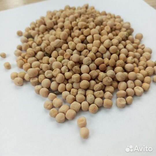 Продам горох продовольственный в мешках 40 т