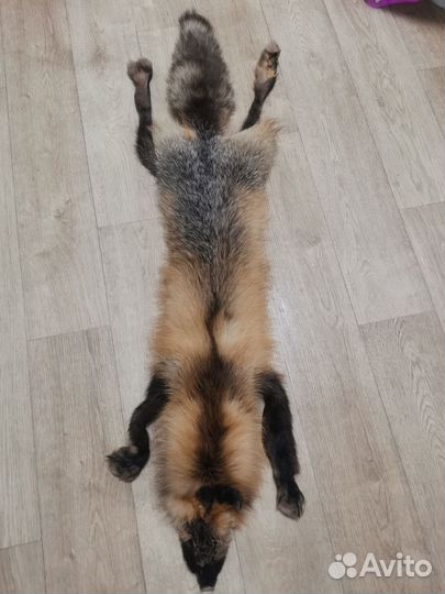 Шкура лисы сиводушка