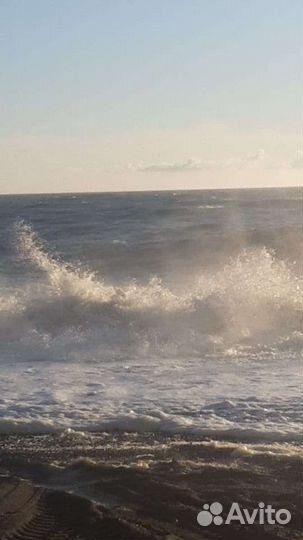 Трансфер, туры