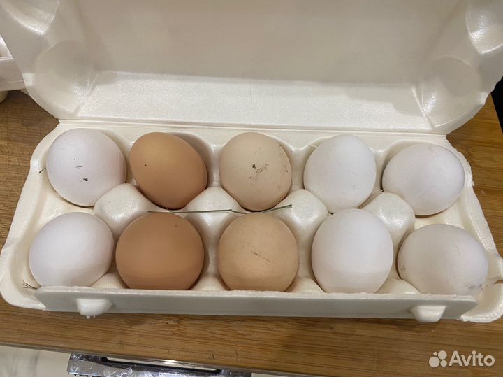 Яйца куринные домашние