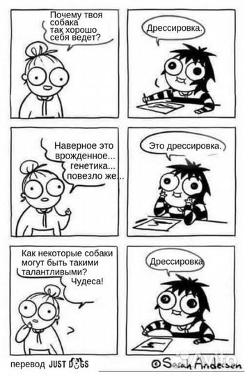 Дрессировка собак