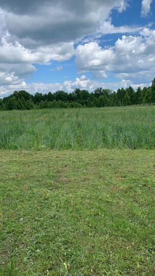 Участок 1,54 га (СНТ, ДНП)