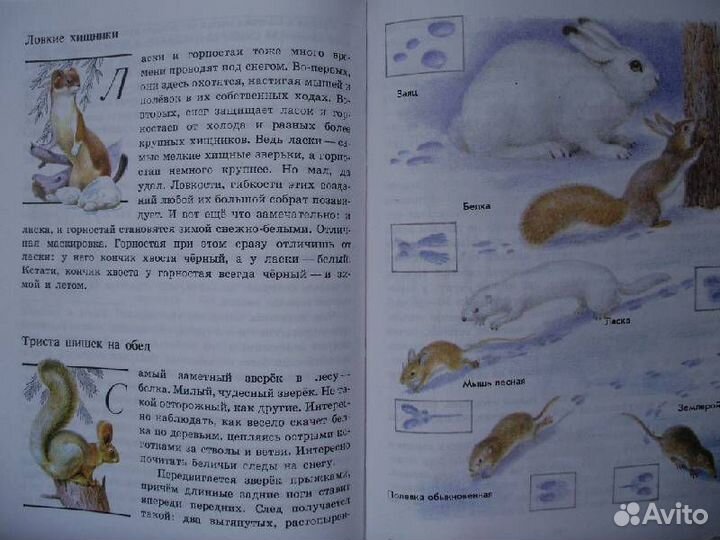 Зеленые страницы. Книга для учащихся начальных кл