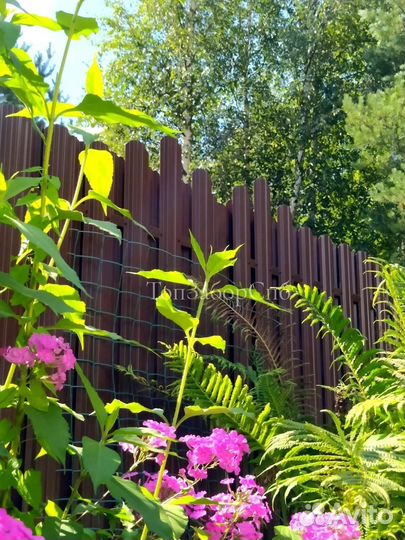 Забор из Евроштакетника