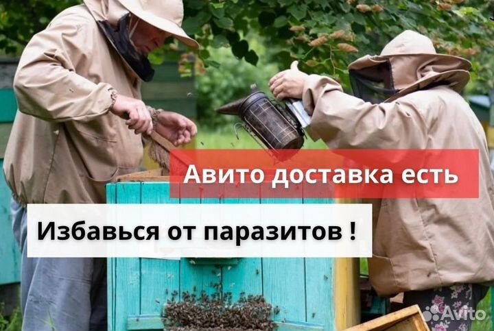 Мёд от глистов