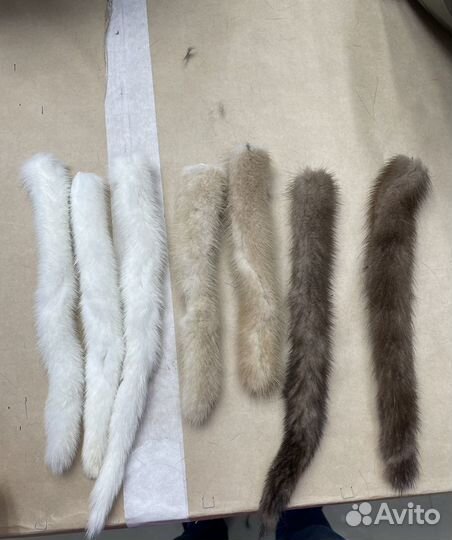 Хвосты норки