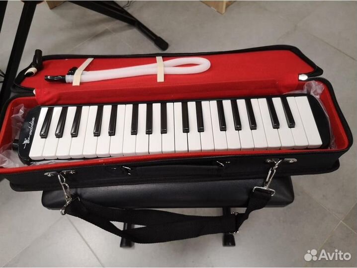 Мелодика Swan SW37J-2-BK