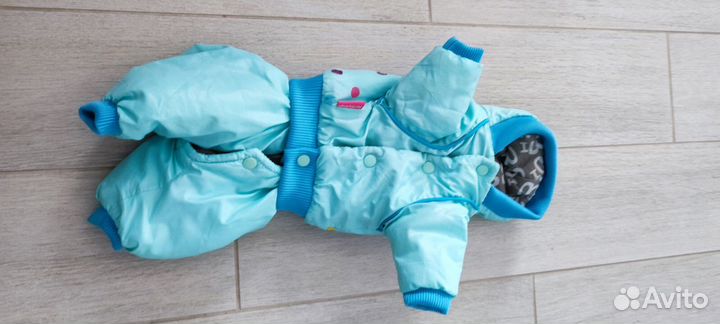 Одежда для животных