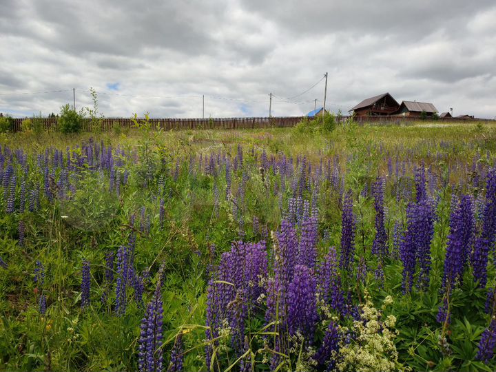 Участок 20 сот. (ИЖС)