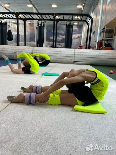 Художественная гимнастика