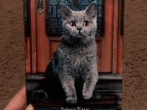 Книга "кот по имени алфи"