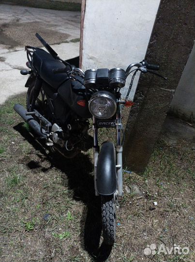 Альфа рейсер