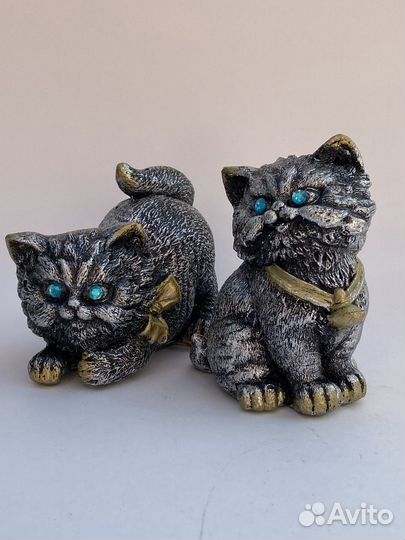 Флорариум суккуленты