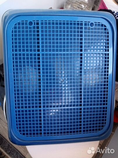 Собачий лоток