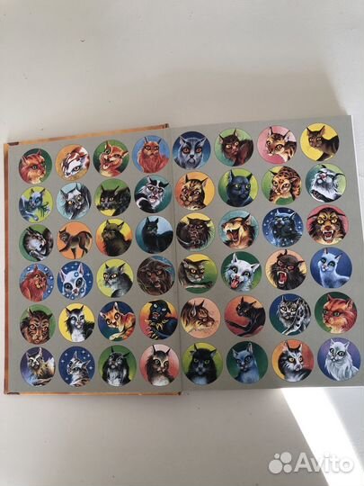 Коты-Воители путеводитель