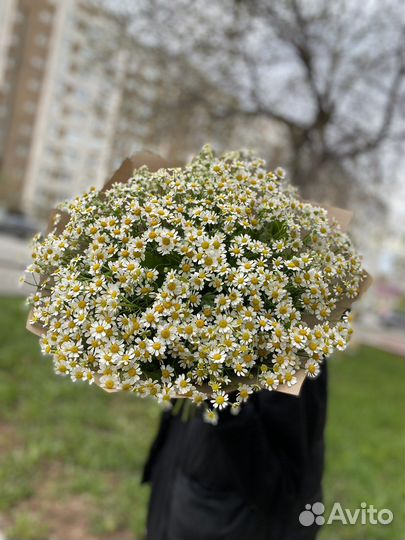 Цветы. Букет из ромашек