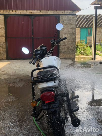 Альфа премиум