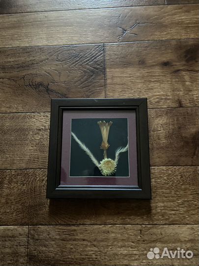 Картины с сухоцветами