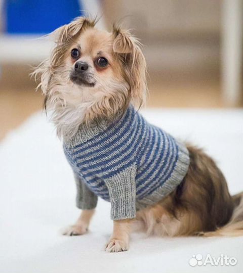 Свитер для собаки/кошки, шапочка