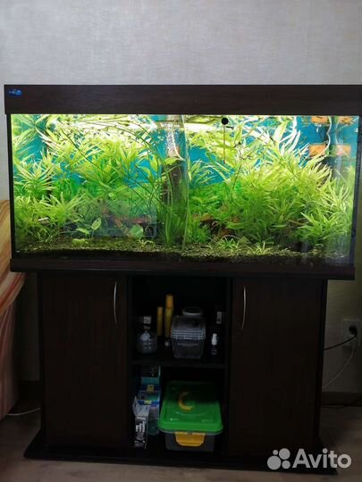 Продам аквариумы