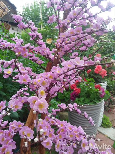 Искуственное дерево Сакура