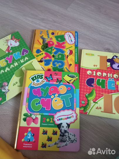 Развивающие книги чудо счёт чудо азбука