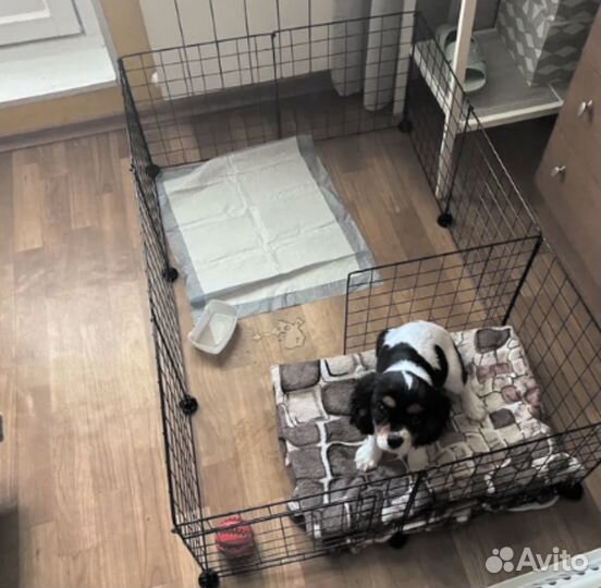 Вольер - Клетка для животных