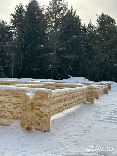 Срубы домов Бани