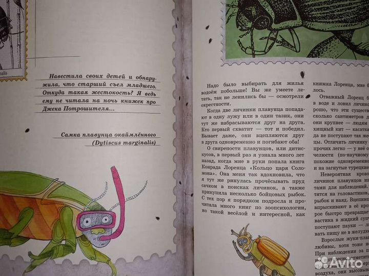 О. Кувыкина. Письма насекомых