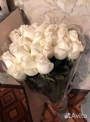 101 роза цветы букеты доставка 25 51 101 роза