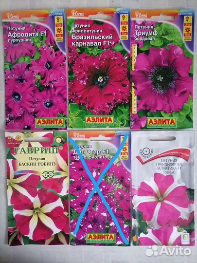 Рассада петунии, лобелии, бархатцев